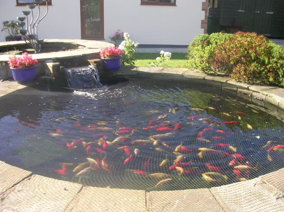 Coastal Garden Lodge Preesall Kültér fotó